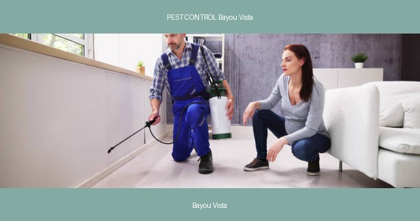 PEST CONTROL Bayou Vista